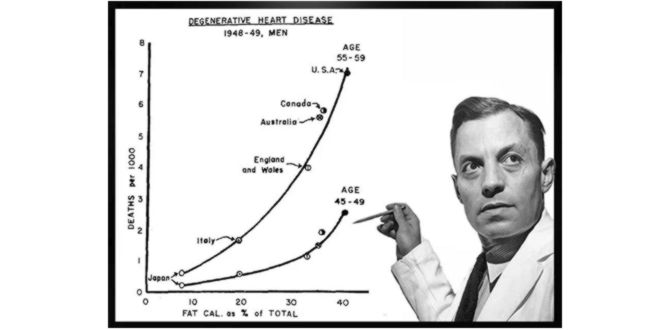 Estudo sobre o colesterol
