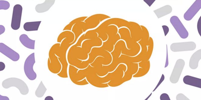 Microbiota e saciedade