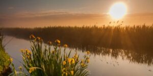 Exposição Solar - Conhece os Benefícios para a Saúde
