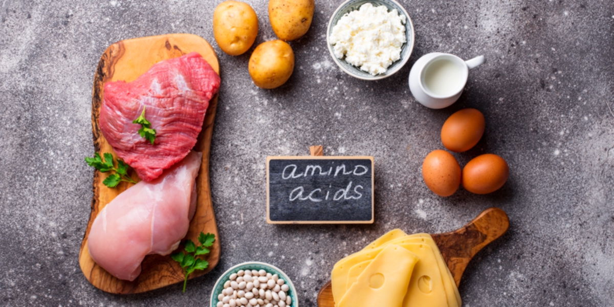 Qual é melhor: proteína animal ou vegetal