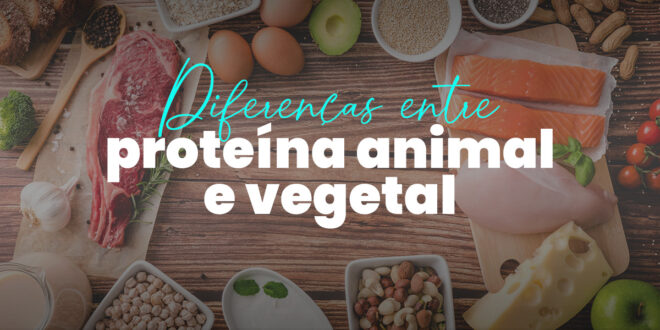 Quais são as diferenças entre a proteína animal e vegetal?
