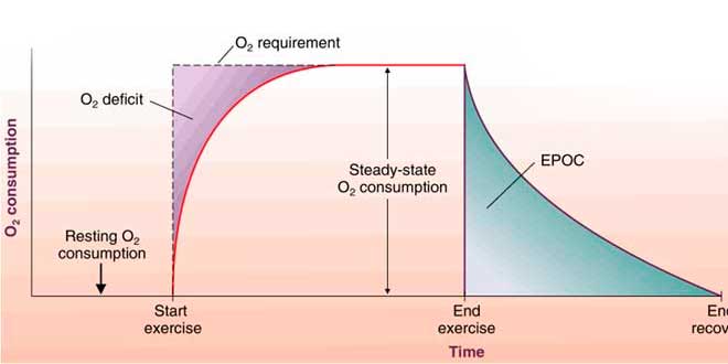 EPOC Effects EPOC Effect