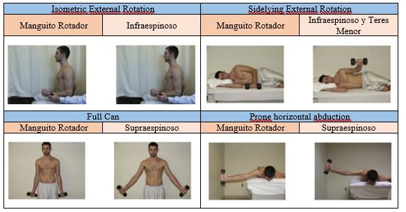 Exercícios Exercícios