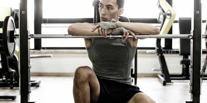 Primer Día Gimnasio Treino com Pesos para Principiantes Primer Día Gimnasio Treino com Pesos para Principiantes