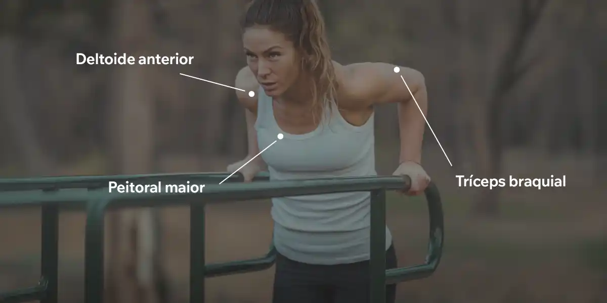 músculos são trabalhados