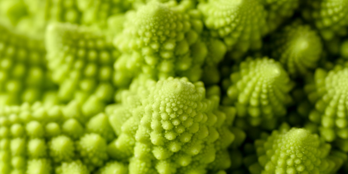 Propriedades do romanesco