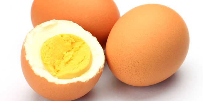 Ovo Intero Grupos de alimentos