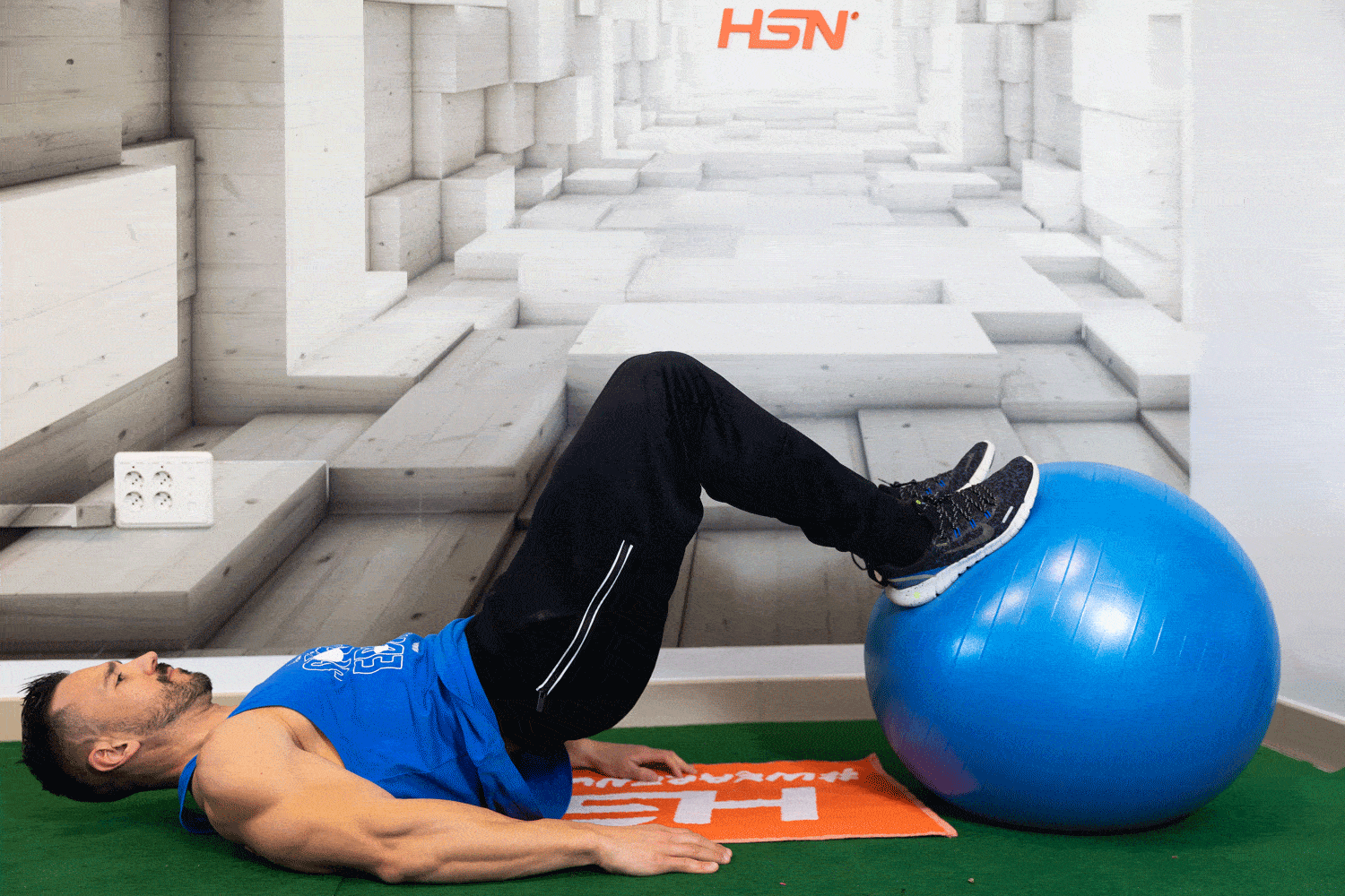Ball Reverse Leg Curl Ball Reverse Leg Curl