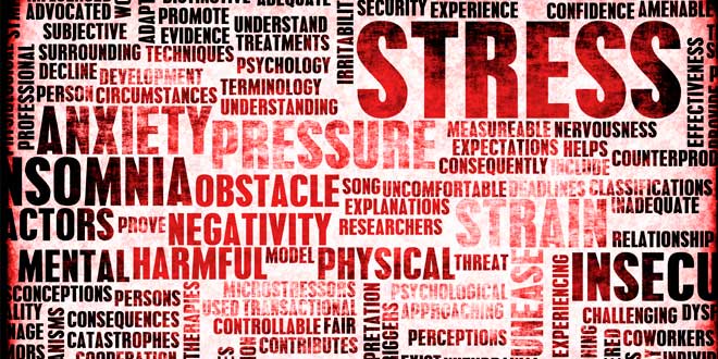 Stress e Alterações no corpo