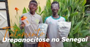 Tratamento Depanocitose no Senegal