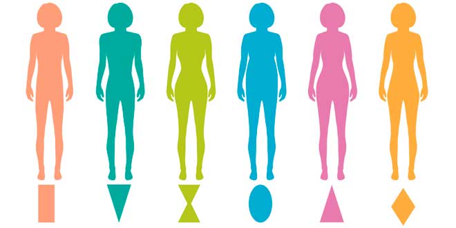 Metabolismo