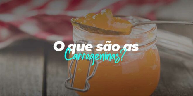 O que são as Carrageninas?