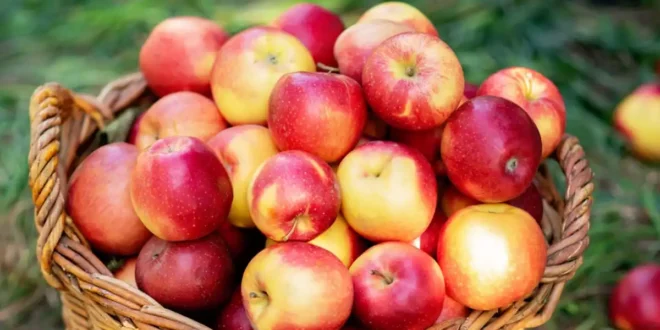 Propriedades e benefícios do vinagre de sidra de maçã para a tua saúde