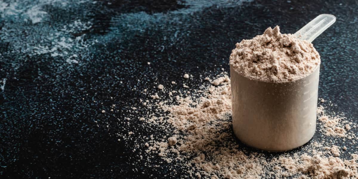 Proteína em pó