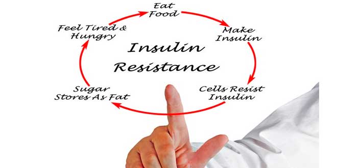 Resistência Insulina - tipo de metabolismo Resistência Insulina - tipo de metabolismo