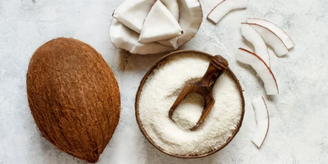 Tudo o que precisas de saber sobre a farinha de coco Tudo o que precisas de saber sobre a farinha de coco