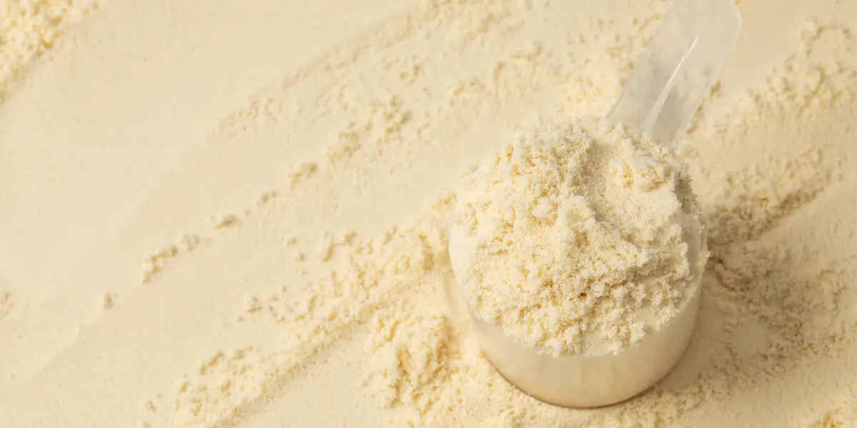 funções-como-tomar-whey-protein funções-como-tomar-whey-protein