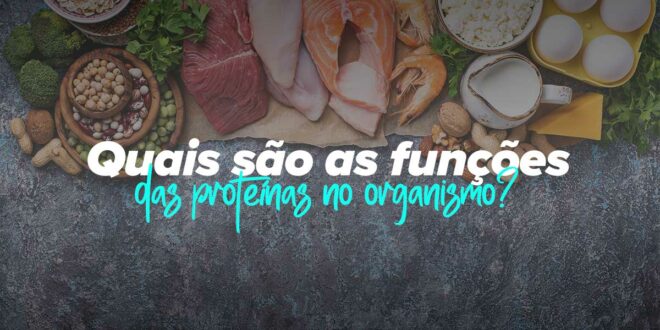 Quais são as funções das proteínas?