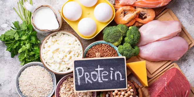 Qual é a Quantidade Ideal de Proteína para Ganhar Massa Muscular?