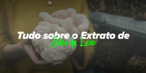 Benefícios e propriedades do Cogumelo Juba de Leão