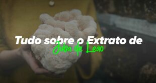 Benefícios e propriedades do Cogumelo Juba de Leão