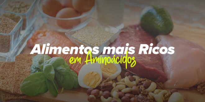 Alimentos mais Ricos em Aminoácidos