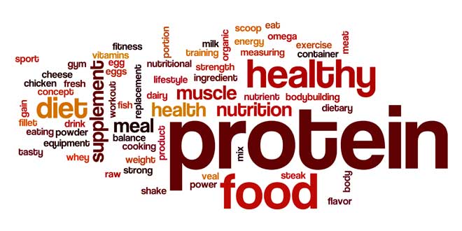 Estilo de Vida Fitness