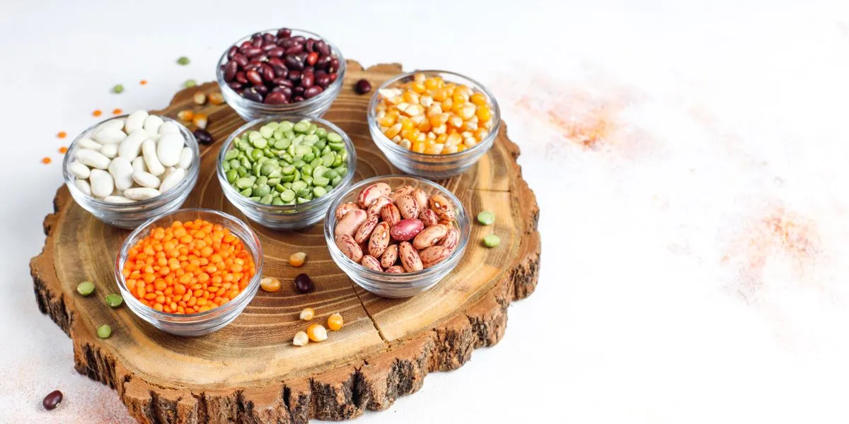 Exemplos de proteínas vegetais