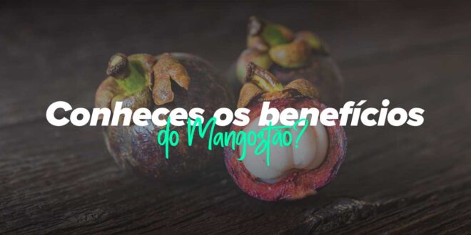 4 Benefícios do Mangostão para a saúde 4 Benefícios do Mangostão para a saúde