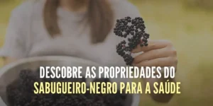 sabugueiro-negro