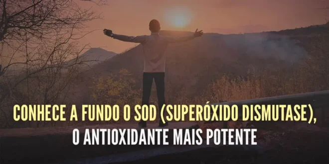 Superóxido Dismutase (SOD): O antioxidante mais potente