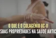 pt-colagenio-uc-ii