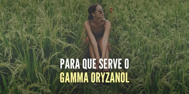 Para que serve o Gamma oryzanol Para que serve o Gamma oryzanol