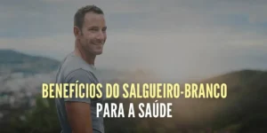 salgueiro-branco