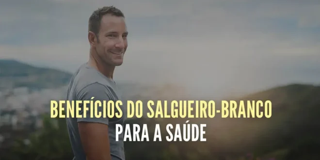 10 Benefícios do salgueiro-branco para a saúde 10 Benefícios do salgueiro-branco para a saúde