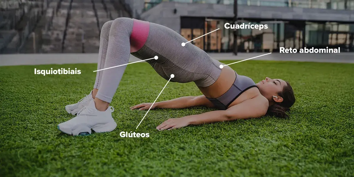 Quais são os músculos envolvidos?