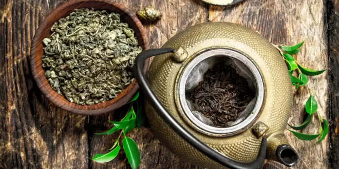 Efeitos das catequinas do chá verde para a saúde Efeitos das catequinas do chá verde para a saúde