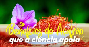 Os 10 benefícios do açafrão que a ciência comprova
