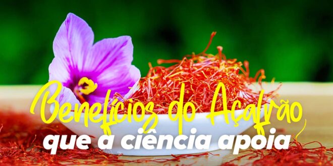 Os 10 benefícios do açafrão que a ciência comprova