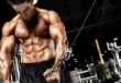 Oxigenação miofibrilar e crescimento muscular