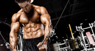 Oxigenação miofibrilar e crescimento muscular