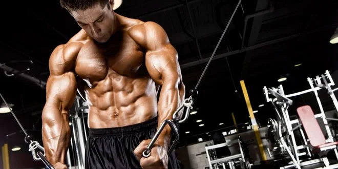 Oxigenação miofibrilar e crescimento muscular Oxigenação miofibrilar e crescimento muscular