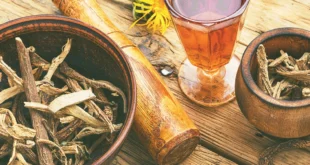 Harpagófito, um agente anti-inflamatório?