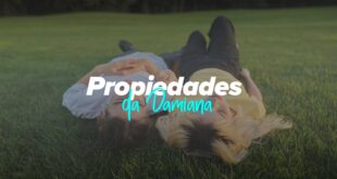 Como tomar a Damiana e Receitas