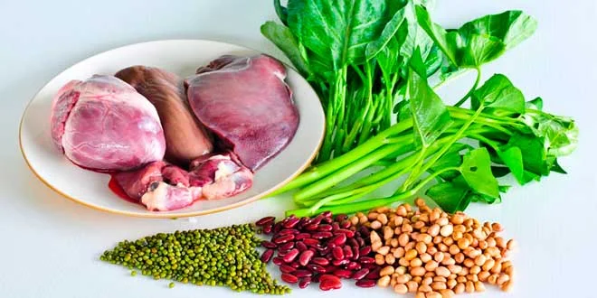 Os 15 alimentos ricos em ferro Os 15 alimentos ricos em ferro
