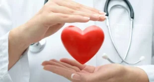 Triglicéridos altos, como baixar os níveis sem medicamentos?