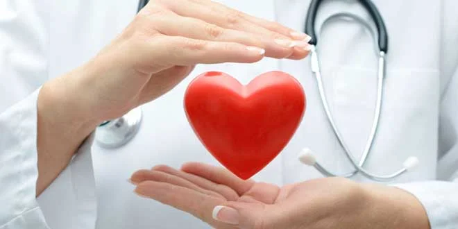 Triglicéridos altos, como baixar os níveis sem medicamentos?