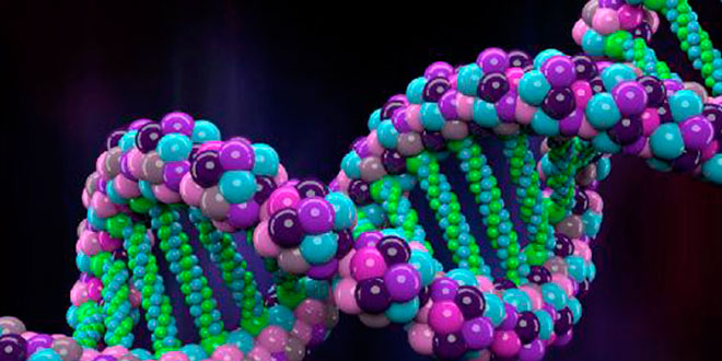 Rotas anabólicas: biossíntese proteica Rotas anabólicas: biossíntese proteica