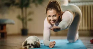 Como fazer o Bird Dog