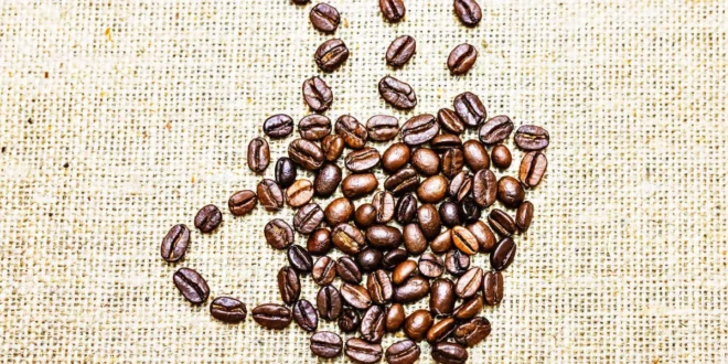 Dose diária recomendada de cafeína para o teu desempenho desportivo Dose diária recomendada de cafeína para o teu desempenho desportivo